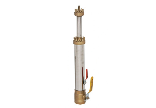 Blossom